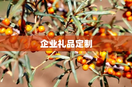 企业礼品定制