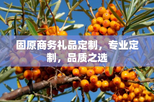 固原商务礼品定制，专业定制，品质之选