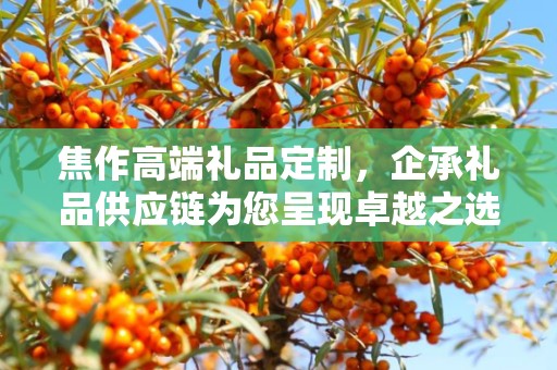 焦作高端礼品定制，企承礼品供应链为您呈现卓越之选